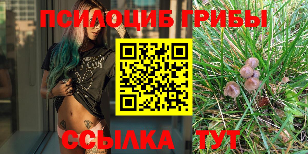 Нарткала  Псилоцибиновые грибы Psilocybe  Псилоцибиновые грибы мухоморы  где найти наркотики  Вход с VPN 